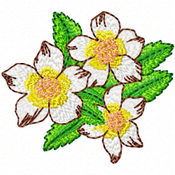Flowers Embroidery Design 5